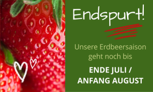 Unsere Saison neigt sich dem Ende